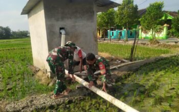 Babinsa Bantu Petani Pasang Pipa, Sistem Pengairan Sawah Makin Lancar