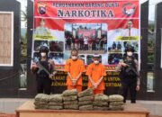 Satresnarkoba Polres Pasaman Musnahkan 20 Paket Ganja, Total Berat Hampir 20 Kg