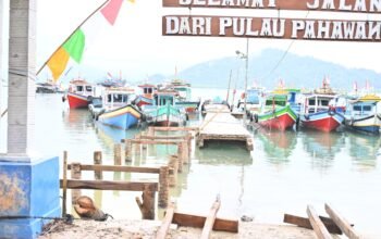 Pemkab Pesawaran Lakukan Peninjauan dan Penanganan Darurat Tindaklanjuti Robohnya Dermaga Pahawang Akibat Diterjang Ombak