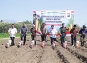 Penanaman Jagung Serentak Kuartal III, Wujud Kolaborasi Polres Kediri Kota dan Pondok Pesantren Dukung Swasembada Pangan