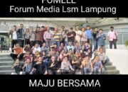 Proyek Bermasalah di Lampung: LSM dan Media Desak Gubernur Copot Kadis Perumahan