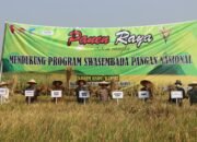 Kodim 0809/Kediri Bersama Pemda Gelar Panen Raya Dukung Swasembada Pangan Nasional