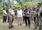 “Hutan TNGL di Aceh Tamiang ditebas Menjadi Lahan Sawit, Bupati Armia Tegaskan “Gagal Upaya Preventif Lakukan Tindakan Hukum”