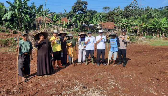 Polsek Plered Lakukan Penanaman Jagung Di Desa Karoya, Bersama Kelompok Tani