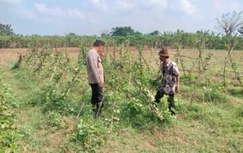 Polisi Di Purwakarta Ajak Warga Manfaatkan Lahan, Untuk Dukung Program Ketahanan Pangan