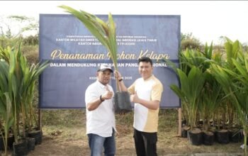 “Kantor Imigrasi Kediri dan Masyarakat Desa Grogol Tanam Pohon Kelapa Bersama”