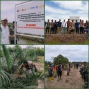 Satgas PKH Berhasil Eksekusi Ratusan Hektare Lahan Sawit di Alur China Kuala Genting