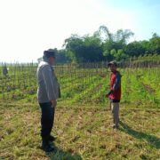 Silaturahmi ke Petani, Upaya Polsek Plered Dukung Program Ketahanan Pangan dan Perkuat Sinergi Dengan Masyarakat
