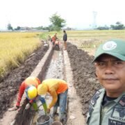 Pemkab Bandung Dukung Peningkatan Produktivitas Pertanian Melalui Program P3-TGAI