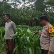 Polisi di Purwakarta Dukung Program Ketahanan Pangan dengan Ajak Warga Manfaatkan Lahan Untuk Menanam