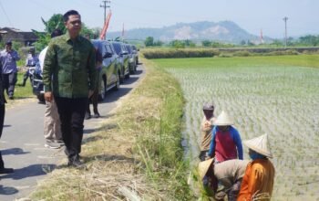 Bupati Witiarso Utomo Gaspol Perkuat Pertanian Jepara: Rp.81 Miliar Digelontorkan Untuk Irigasi