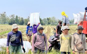 Direktur Idensos Densus 88 AT Lakukan Kunjungan Kerja ke PT Sang Hyang Seri Subang, Jalin Silaturahmi Dengan Eks Napiter