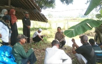 Polsek Jatiluhur dan Dinas Pertanian Bersinergi Wujudkan Ketahanan Pangan di Purwakarta