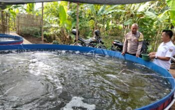 Polsek Plered Dukung Ketahanan Pangan Dengan Sambang Peternak Ikan di Purwakarta