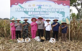 Kapolres Langkat Pimpin Panen Raya Jagung Kuartal III 2025 Secara Virtual