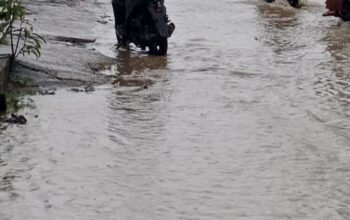 Warga Wonorejo Nabire Keluhkan Genangan Air, Desak Pemda Tindak Lanjut Drainase