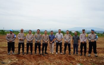 Kapolres Purwakarta Tinjau Lokasi Penanaman Jagung Serentak di PTPN 1 Kebun Cikumpay
