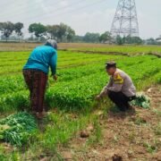 Sambang Ke Petani, Wujud Polsek Campaka Dukung Ketahanan Pangan