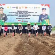 Kapolda Jatim Pimpin Penanaman Jagung Serentak Kwartal IV di Mojokerto Pakai Benih Eco Bhayangkara
