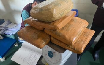 Petugas Bandara Minangkabau Gagalkan Pengiriman 7 Kilogram Diduga Ganja di Area Kargo