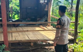 Sigap Pamapta Polres Purwakarta dan Polsek Bungursari Evakuasi Mayat di Sebuah Saung