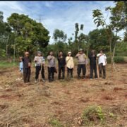 Polsek Purwakarta Kota Bersama Warga Tanam Jagung Hibrida Untuk Kemandirian Pangan