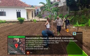 “Polsek Plered dan Kelompok Tani Kolaborasi Tanam Jagung di Desa Palinggihan, Dukung Ketahanan Pangan”