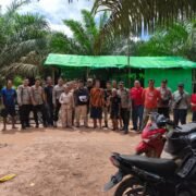 Masyarakat Pelanjau Jaya dan Lea Padang Gelar Panen di Lahan Adat di Luar HGU PT BAL