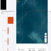 “BNPB: Diperkirakan 238 Tewas dan 93 Hilang Akibat Banjir Bandang di Sumatera Barat”
