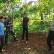 Polisi Purwakarta Evakuasi Mayat Tanpa Identitas di Kebun Wilayah Plered