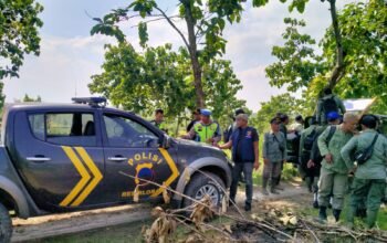 Giat Perhutani Dalam Upaya Pengamanan Kawasan Hutan dan Pasang Papan Himbauan