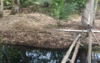 Diduga Mangkrak dan Sarat Penyimpangan, Warga Desa Nipah Kuning Tolak Lanjutan Proyek Air Bersih