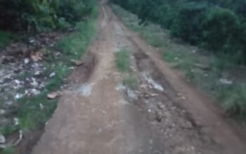 Warga Dusun Way Rantang Pekon Suka Mulya Kecamatan Lemong Perbaiki Jalan Rusak Secara Swadaya, Pemkab Pesibar Diminta Turun Tangan
