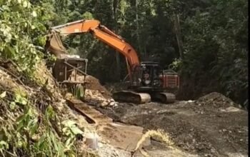 Aktivitas PETI Makin Marak, Kapolri Diminta Segera Copot Kapolda Jambi dan Kapolres Sarolangun