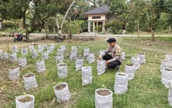 Emas Hitam di Balik Bencana: Mengubah Lumpur Banjir Menjadi Harapan Baru di Aceh Tamiang
