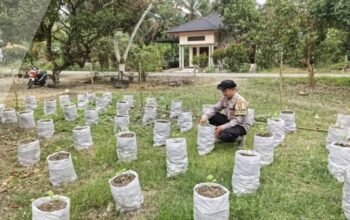 Emas Hitam di Balik Bencana: Mengubah Lumpur Banjir Menjadi Harapan Baru di Aceh Tamiang