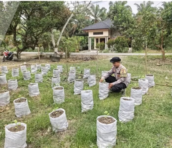 Emas Hitam di Balik Bencana: Mengubah Lumpur Banjir Menjadi Harapan Baru di Aceh Tamiang