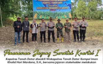 Polres Tanah Datar Tancap Gas Tanam Jagung Serentak Demi Ketahanan Pangan 2026