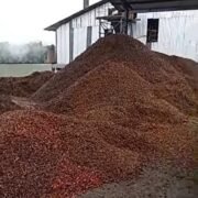 LP3-NKRI Minta Aktivitas PT Bungo Makmur Abadi Diinvestigasi