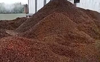 LP3-NKRI Minta Aktivitas PT Bungo Makmur Abadi Diinvestigasi