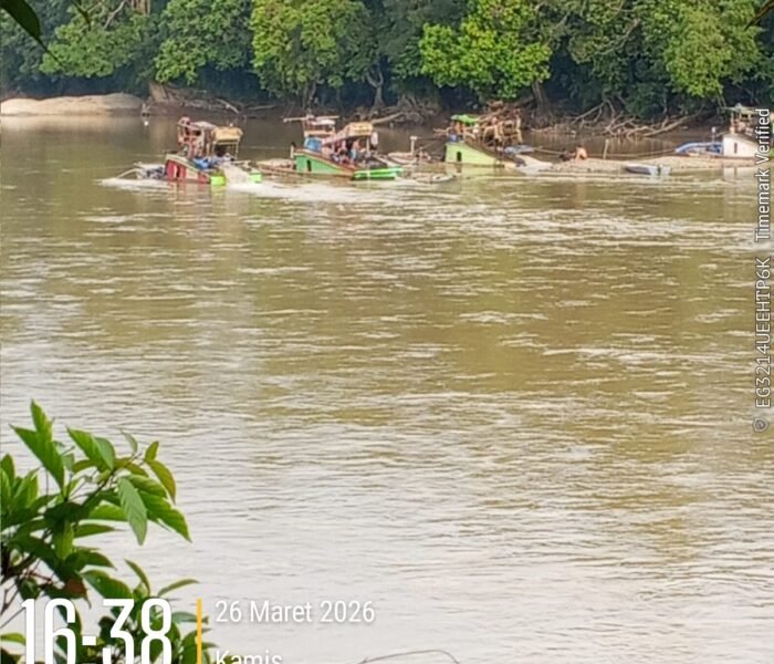 Marak Pekerja Peti Gunakan Ponton Beroperasi di Desa Penjawaan Kecamatan Sandai
