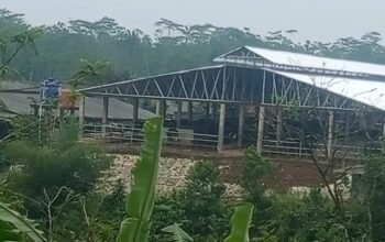 “Operasional Kandang Sapi Perah Tanpa Izin di Desa Purwasari Dipersoalkan, Warga Keluhkan Pencemaran Bau Menyengat”