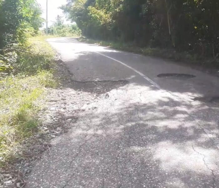 Tanjakan Lumba-Lumba Menjelma Jadi Jalur Maut, Warga Banggai: “Pemerintah Jangan Tutup Mata!”