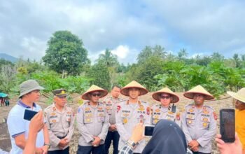 Revolusi Hijau di Rambatan: Kapolres Tanah Datar Pimpin Penanaman Jagung Berbasis Teknologi Untuk Swasembada Pangan