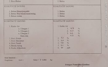 Berkolaborasi Bersama Bulog, Polsek Plered Cek Kadar Air Pada Jagung Hasil Panen