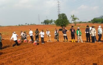 Kopassus, TNI-Polri dan Petani Bersatu di Purwakarta, Ribuan Hektare Jagung Hibrida Disiapkan Untuk Ketahanan Pangan
