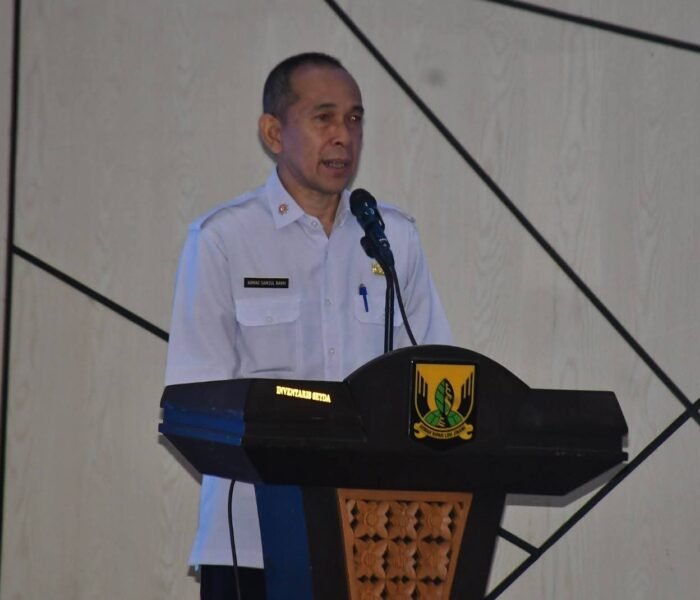 Desa Purwasari dan Desa Kalapanungal Terpilih Bagian Program Desa Berdampak Kemedagri
