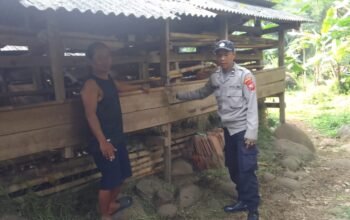Jelang Iduladha, Polisi Intensif Sambangi Peternak Domba di Purwakarta, Antisipasi Pencurian Hewan Kurban