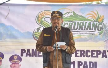 Gerakan Panen Padi Bupati Sukabumi Drs. H. Asep Japar, M.M., Kecamatan Ciemas Panopang Swasembada Pangan di Sukabumi