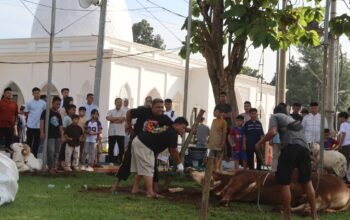 Polres Purwakarta Gelar Pemotongan Hewan Kurban, Wujud Kepedulian dan Semangat Berbagi di Hari Raya Idul Adha